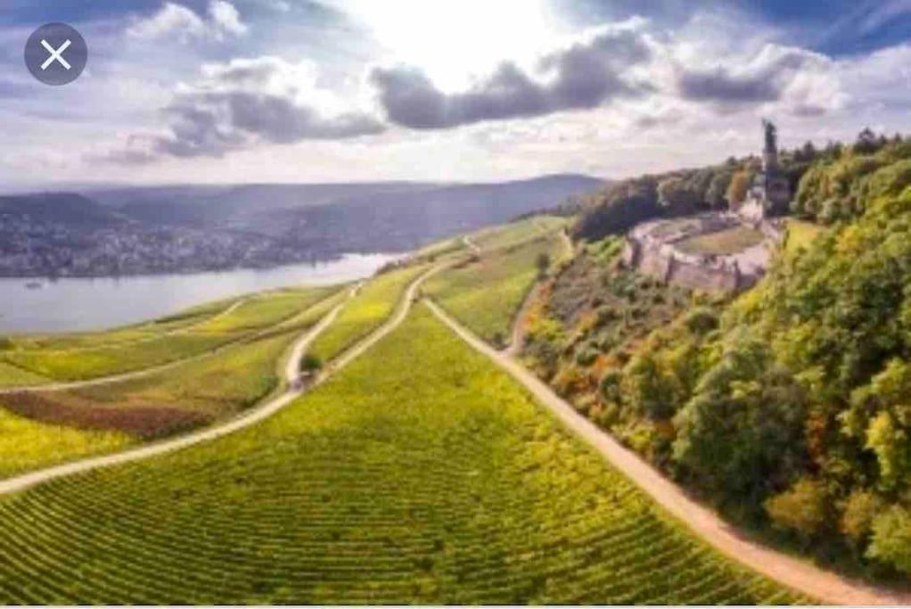 1.0 Relaxen Am Kloster Johannisberg Geisenheim Zewnętrze zdjęcie