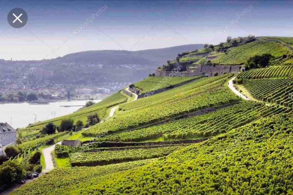 1.0 Relaxen Am Kloster Johannisberg Geisenheim Zewnętrze zdjęcie